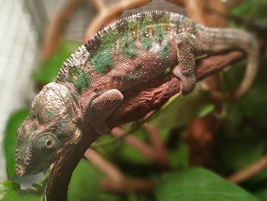 ���S�Ӯ���ʮ�����I��