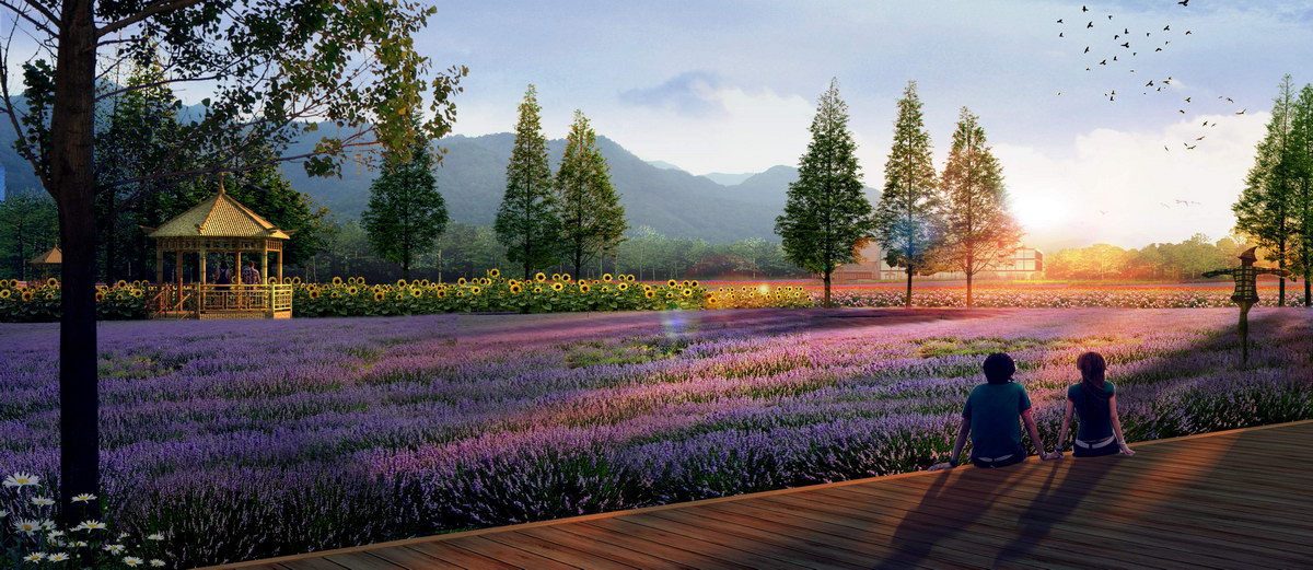 �@�־��^���ξ��cЧ���D