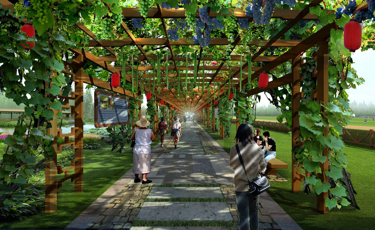 �r(n��ng)�Ҙ��L��Ч���D