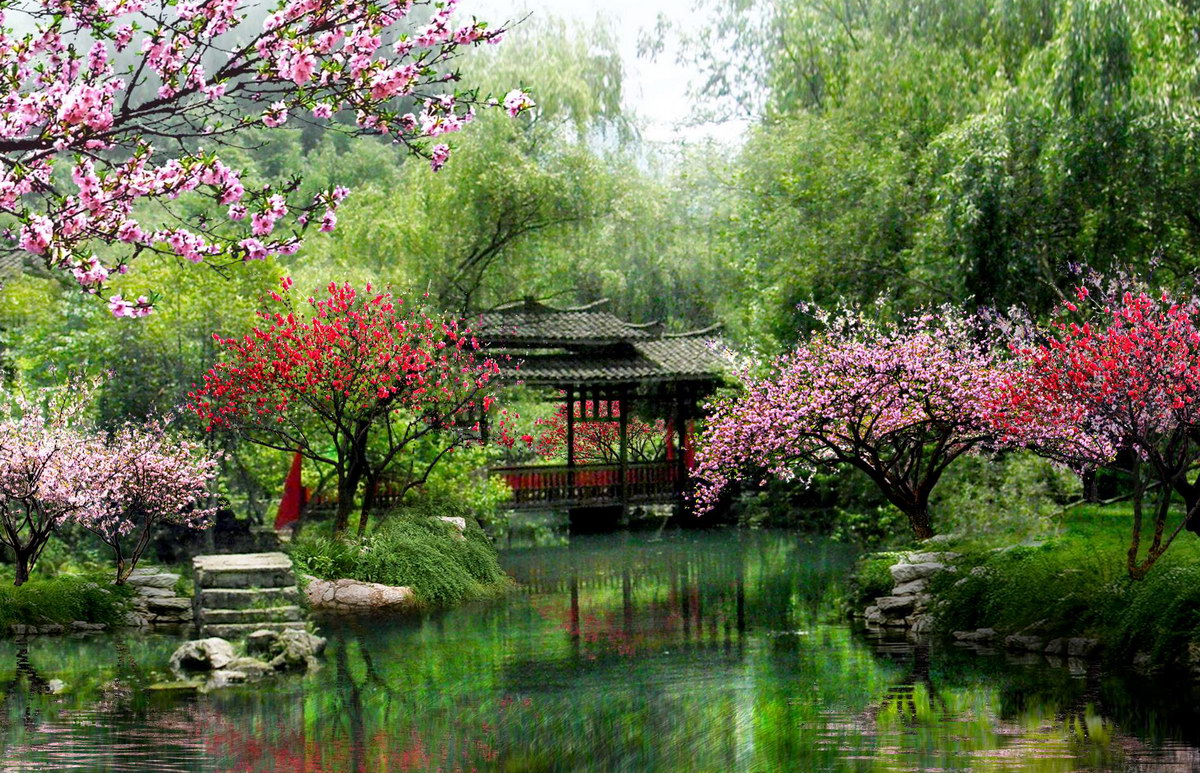 �G�����^��ľЧ���D