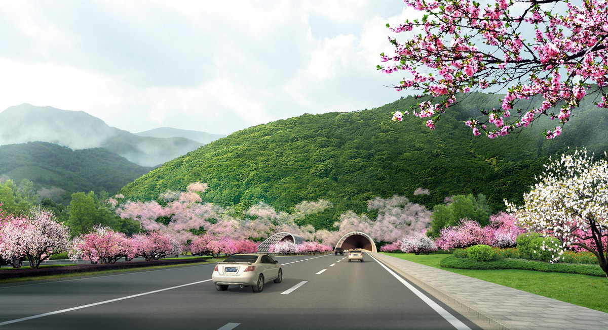 �������^��Ч���D