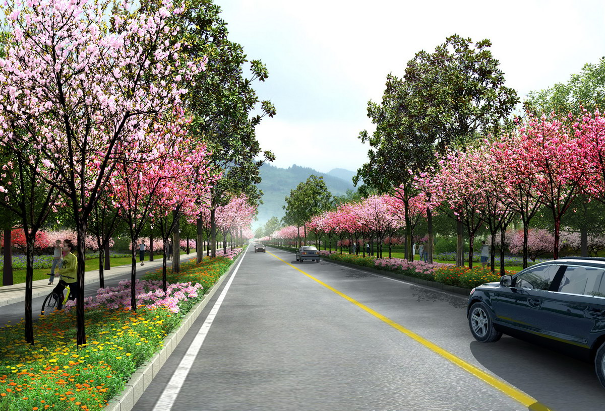 ��·���^��Ч���D