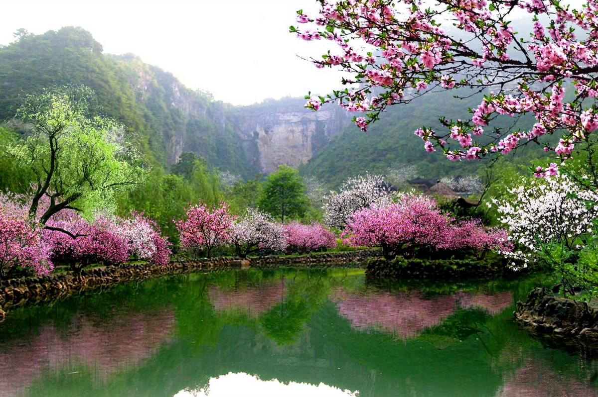 ��߅���^�G��Ч���D