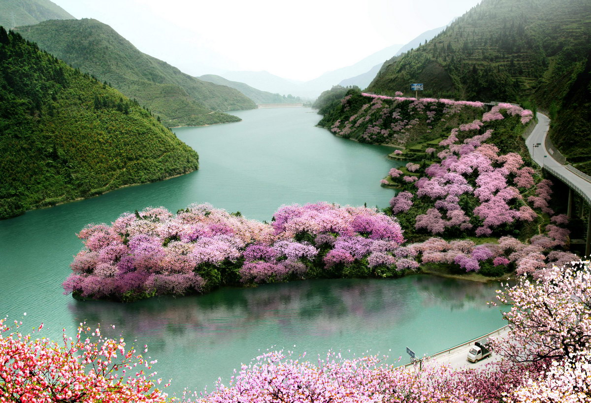 ɽ�w�G����ľЧ���D