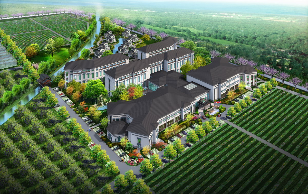 �r(n��ng)�Ҙ���ժ�@�^(q��)Ч���D