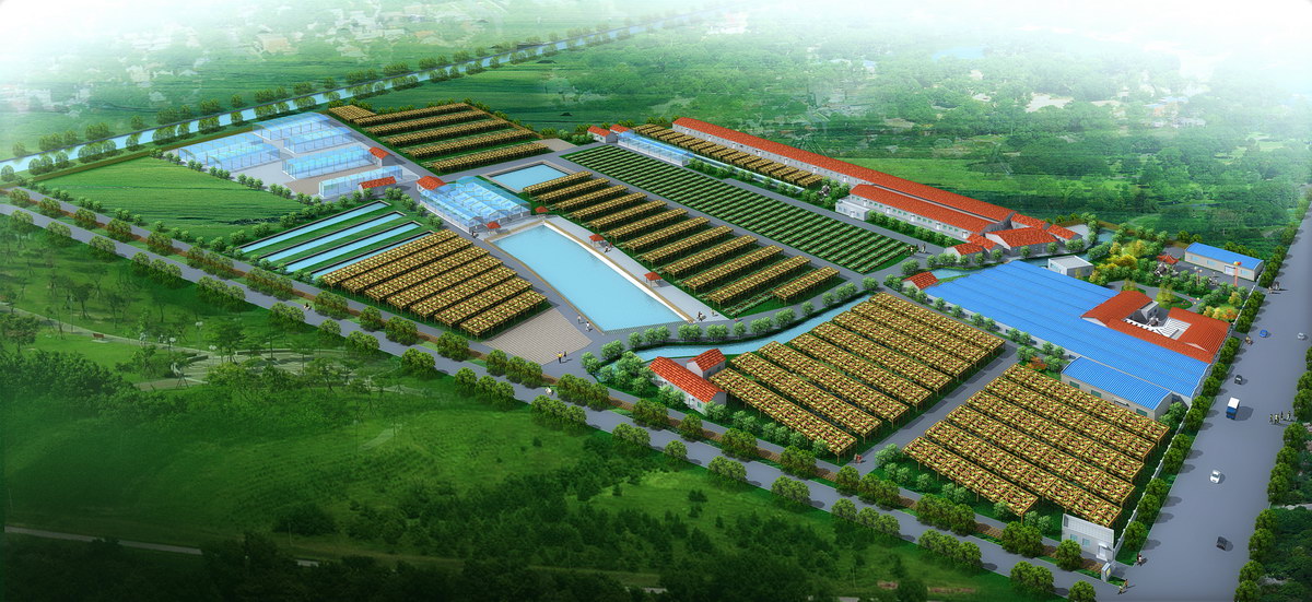 �r(n��ng)�Ҙ����@Ч���D