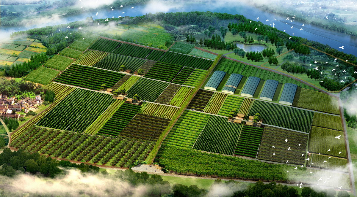 �F(xi��n)���r(n��ng)�fЧ���D