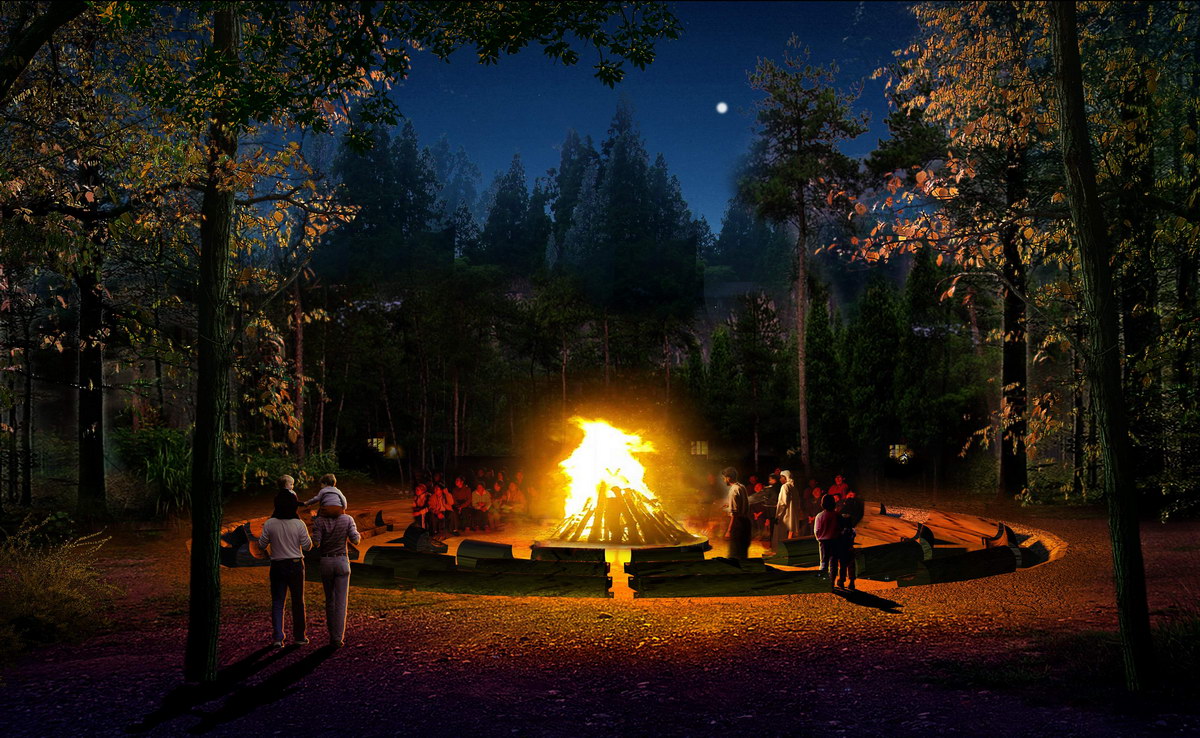 ���ވ���Ч���D